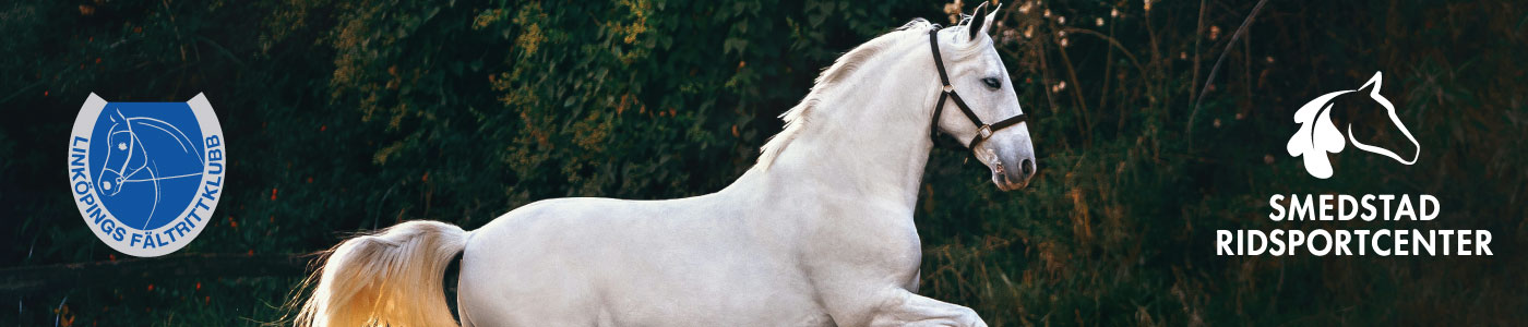 Header-mall-nytt-lagsmedstad