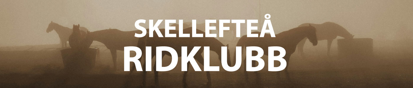 Header-mall-skellefteå