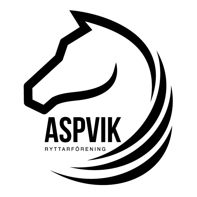 Ridsport