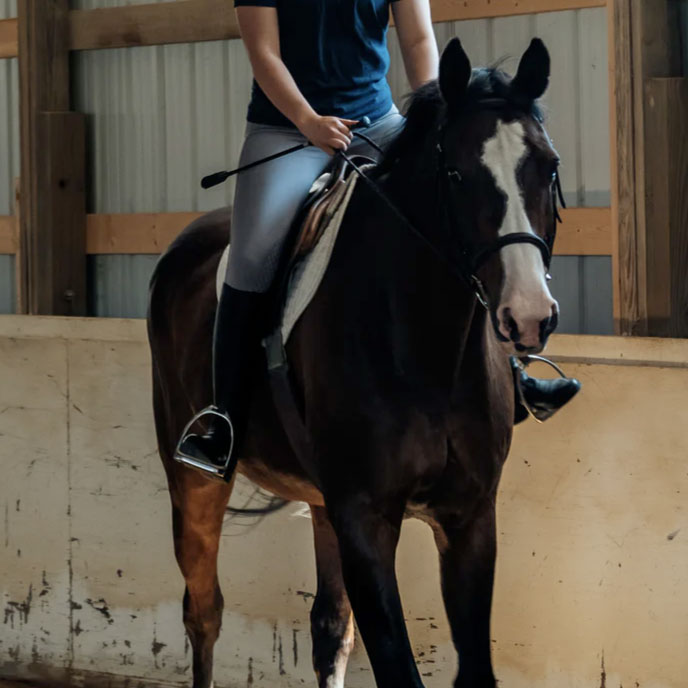 Ridsport