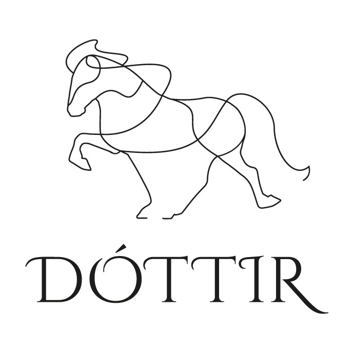 Ridsport